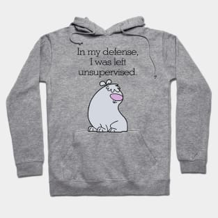 in my defense i was left unsupervised Hoodie